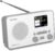 TechniSat TECHNIRADIO 6 IR – portables Internetradio (DAB+, UKW, WLAN, Bluetooth, Farbdisplay, Wecker, Favoritenspeicher, 3 Watt RMS) weiß/grau